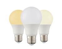 LED Bulb